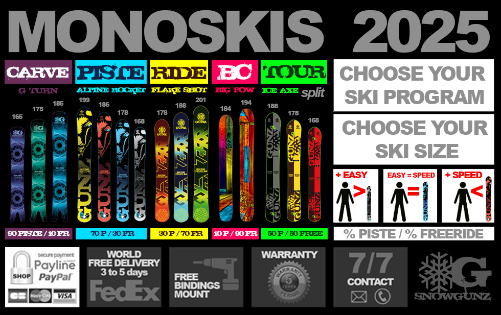 Monoskis